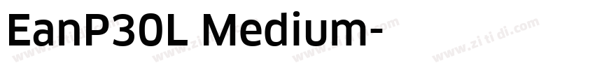 EanP30L Medium字体转换